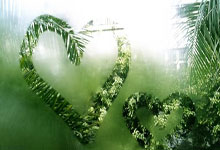 NG28官网：打不死的斧腿郭强，开局25秒被重拳击倒！狂砍36腿绝地逆袭.